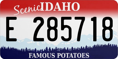 ID license plate E285718