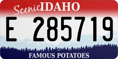 ID license plate E285719