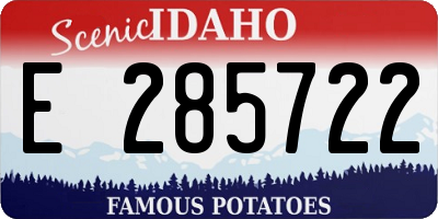 ID license plate E285722