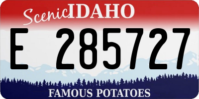 ID license plate E285727