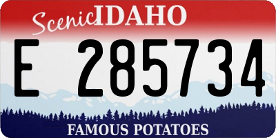 ID license plate E285734