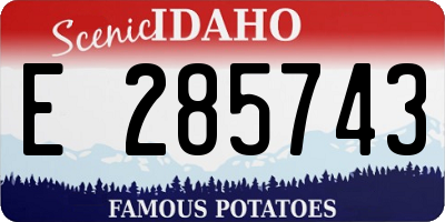 ID license plate E285743