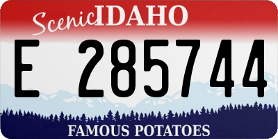 ID license plate E285744
