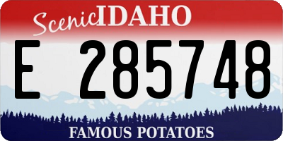 ID license plate E285748