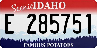 ID license plate E285751