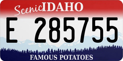 ID license plate E285755