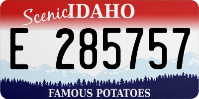 ID license plate E285757