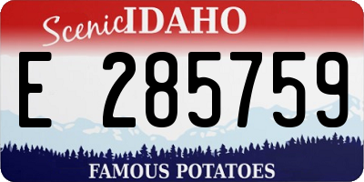 ID license plate E285759