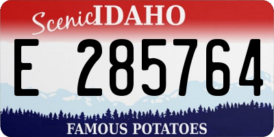 ID license plate E285764