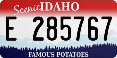 ID license plate E285767
