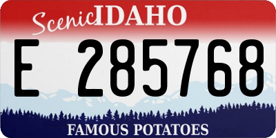 ID license plate E285768