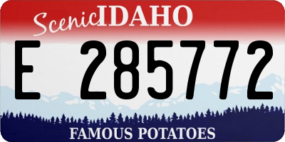 ID license plate E285772