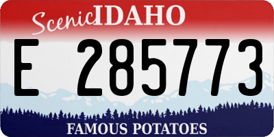 ID license plate E285773