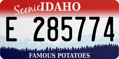ID license plate E285774