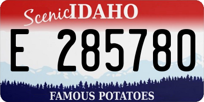 ID license plate E285780