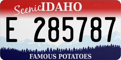 ID license plate E285787