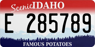 ID license plate E285789