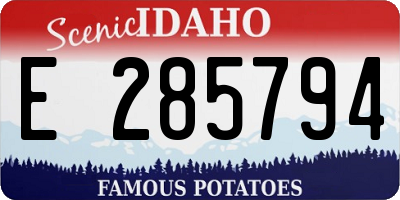 ID license plate E285794