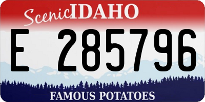 ID license plate E285796