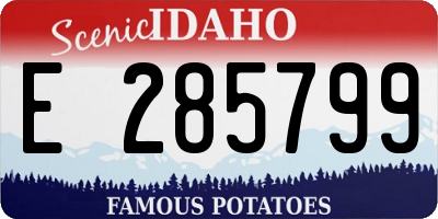 ID license plate E285799