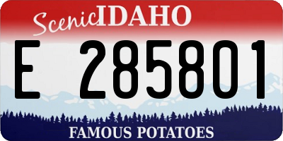ID license plate E285801