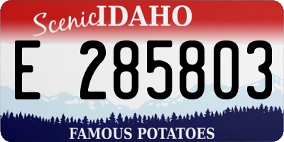 ID license plate E285803