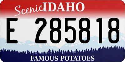 ID license plate E285818