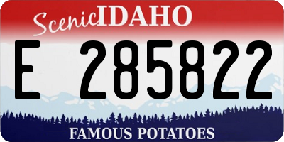 ID license plate E285822