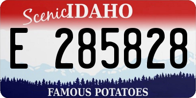 ID license plate E285828