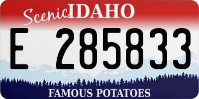ID license plate E285833