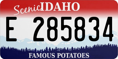 ID license plate E285834