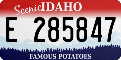 ID license plate E285847