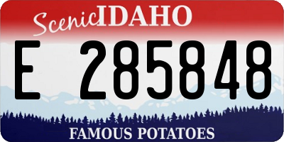 ID license plate E285848