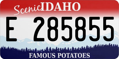 ID license plate E285855