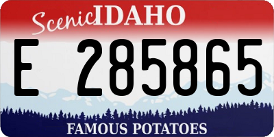 ID license plate E285865