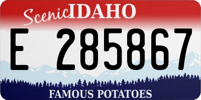 ID license plate E285867