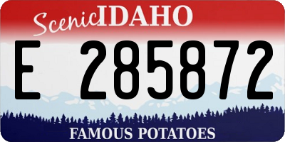 ID license plate E285872