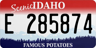 ID license plate E285874