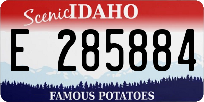 ID license plate E285884