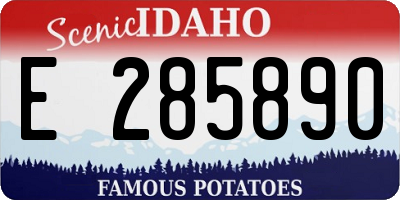 ID license plate E285890