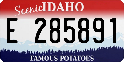 ID license plate E285891