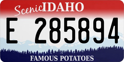 ID license plate E285894