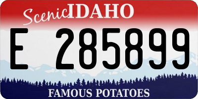 ID license plate E285899