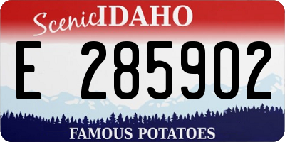 ID license plate E285902