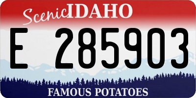 ID license plate E285903