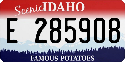 ID license plate E285908
