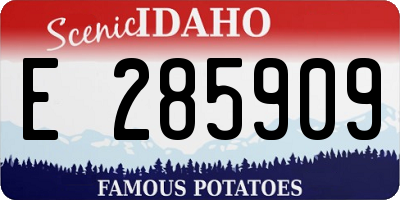 ID license plate E285909