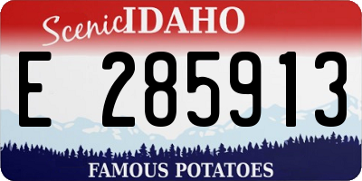 ID license plate E285913