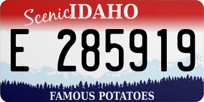 ID license plate E285919