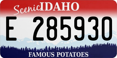 ID license plate E285930